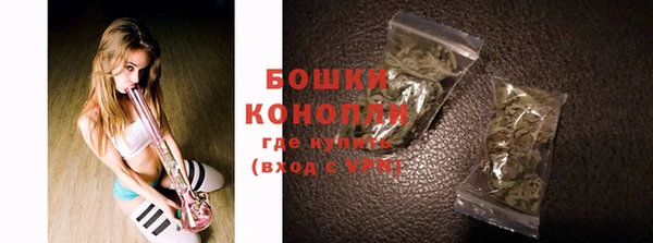 спайс Алексин