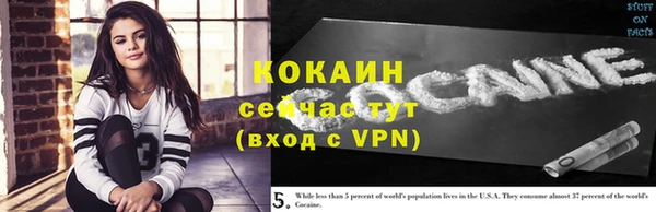PSILOCYBIN Новодвинск