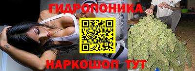 дмт Кимры