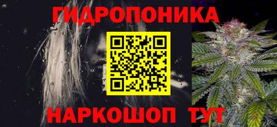 стафф Кинель
