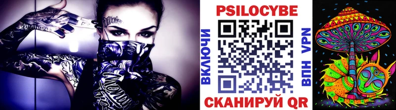 купить  сайты  Новоуральск  Галлюциногенные грибы Psilocybe 