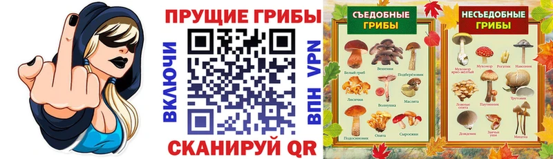 Псилоцибиновые грибы MAGIC MUSHROOMS Новоуральск