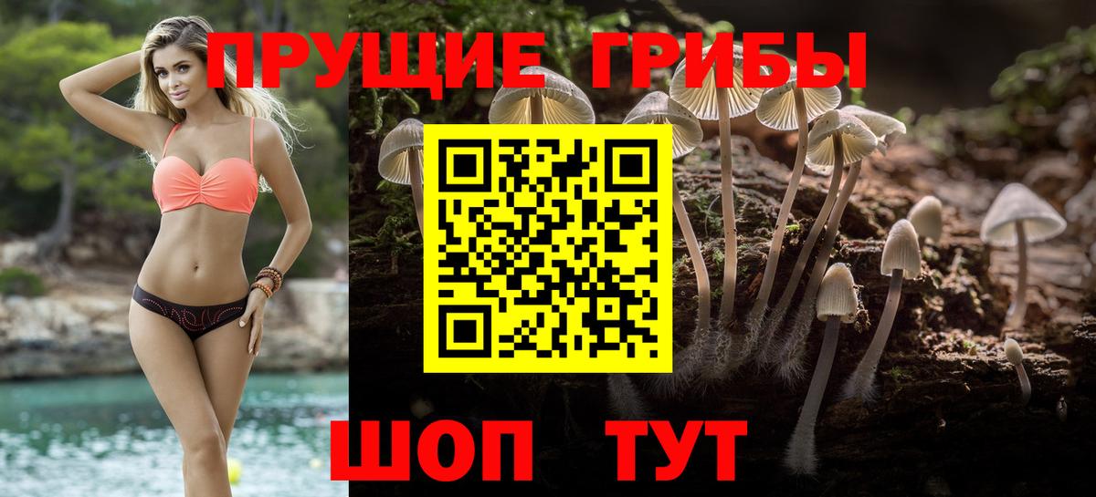Новоуральск  купить наркотик  Псилоцибиновые грибы Magic Shrooms  Вход с VPN  Псилоцибиновые грибы Magic Shrooms 